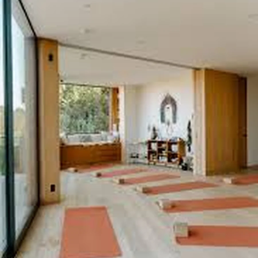 The Nest movement studio